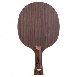 Stiga *Destiny Carbon 