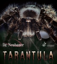 Dr. Neubauer Tarantula 